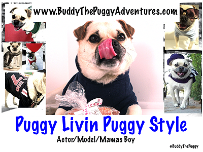 ecopup buddy the puggy adventures