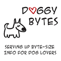 doggybytes raw food pet dog blog