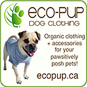 ecopup dog clothing organic recycled natural