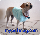 ecopup mypetmug.com product review