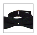 ecopup dog clothing product images accessories