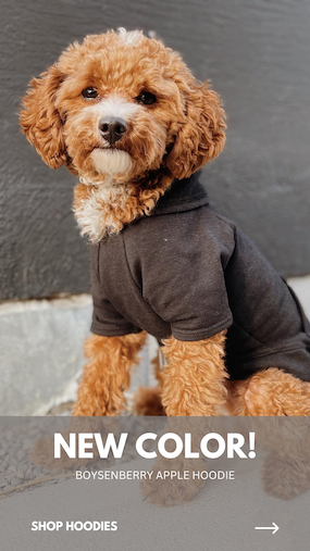 Eco-Pup dog sweater sweatshirt Apple hoodie bamboo organic