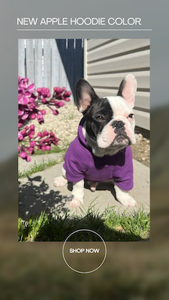 Eco-Pup dog sweater sweatshirt Apple hoodie bamboo organic