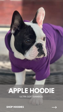 Eco-Pup dog sweater sweatshirt Apple hoodie bamboo organic