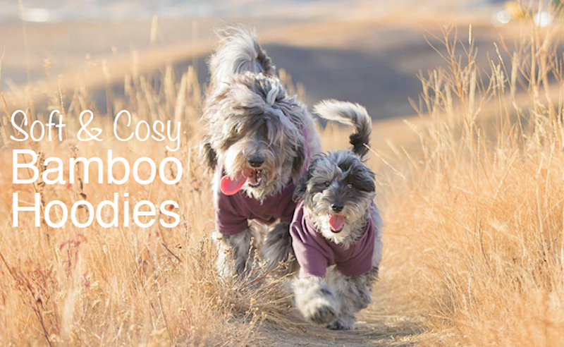 Eco-Pup dog sweater sweatshirt Apple hoodie bamboo organic