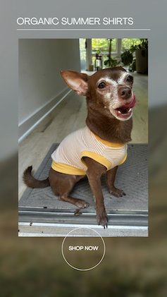 Eco-Pup Dog organic bamboo summer dog shirts tank tops
