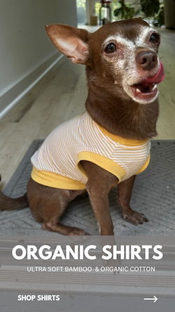 Eco-Pup Dog organic bamboo summer dog shirts tank tops