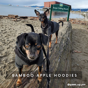 Eco-Pup dog sweater sweatshirt Apple hoodie bamboo organic